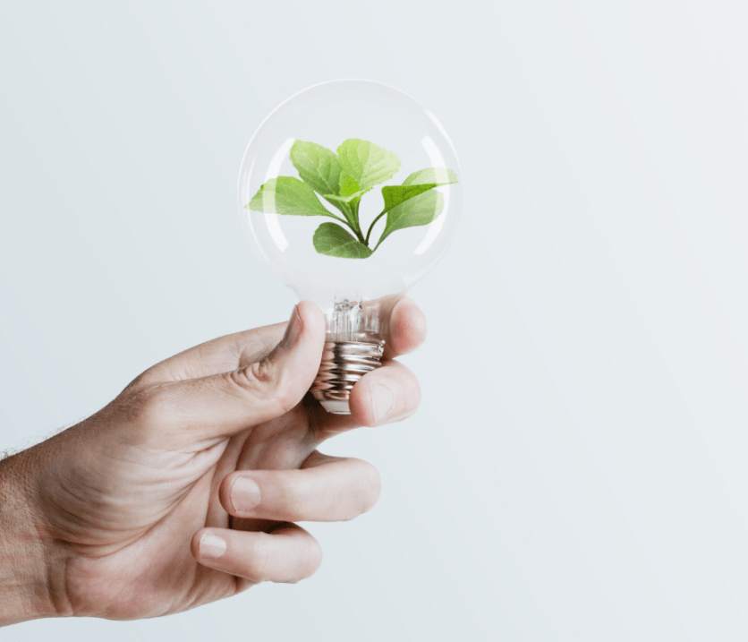 nettuno sostenibilita 1 min