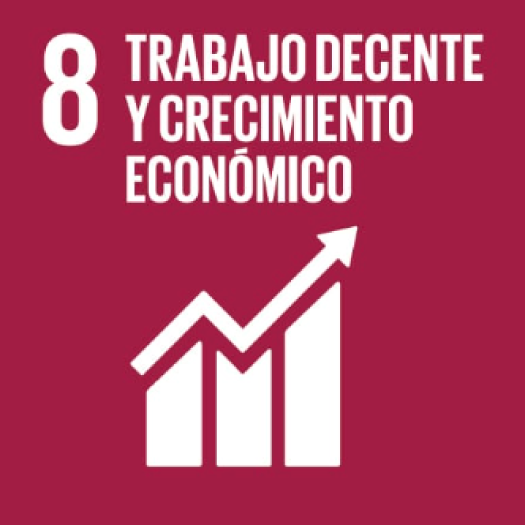 icone agenda2030 ES 04