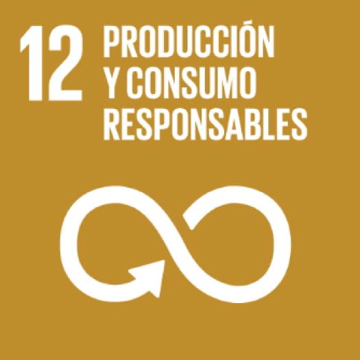 icone agenda2030 ES 06