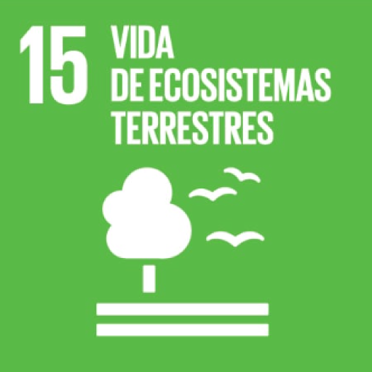 icone agenda2030 ES 09