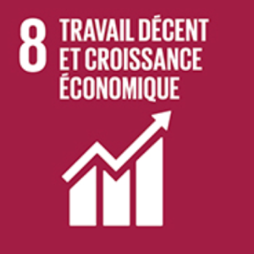 icone agenda2030 FR 04