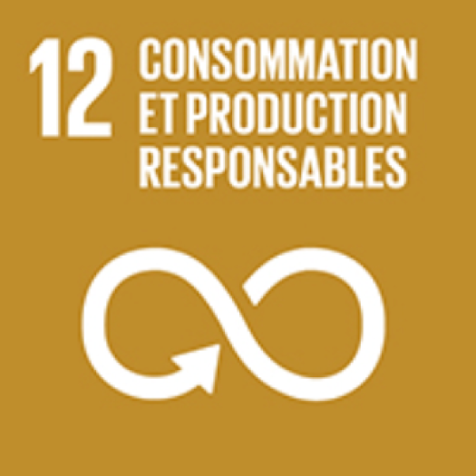 icone agenda2030 FR 06