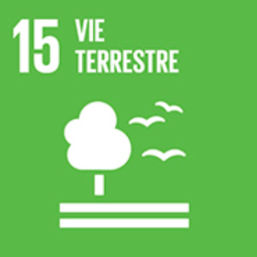 icone agenda2030 FR 09