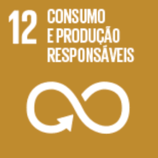 icone agenda2030 PT 06