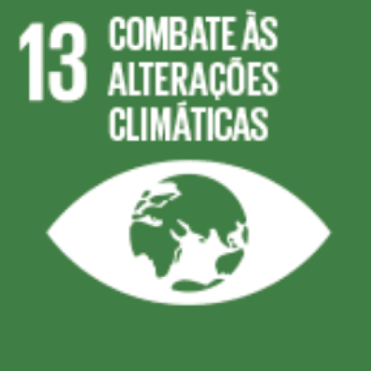 icone agenda2030 PT 07