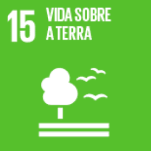 icone agenda2030 PT 09