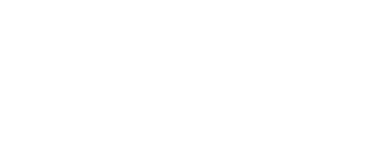 NETTUNO logo bianco footer